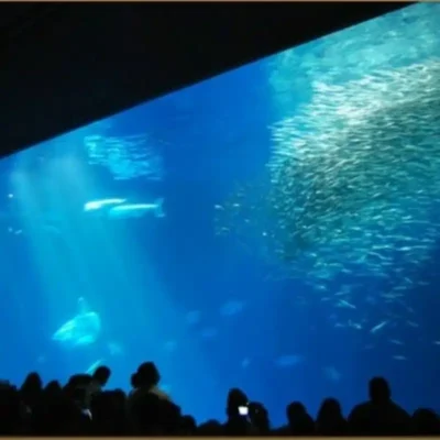 La più grande lastra di PLEXIGLAS ® al mondo
